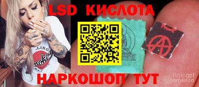 ALPHA PVP Новозыбков