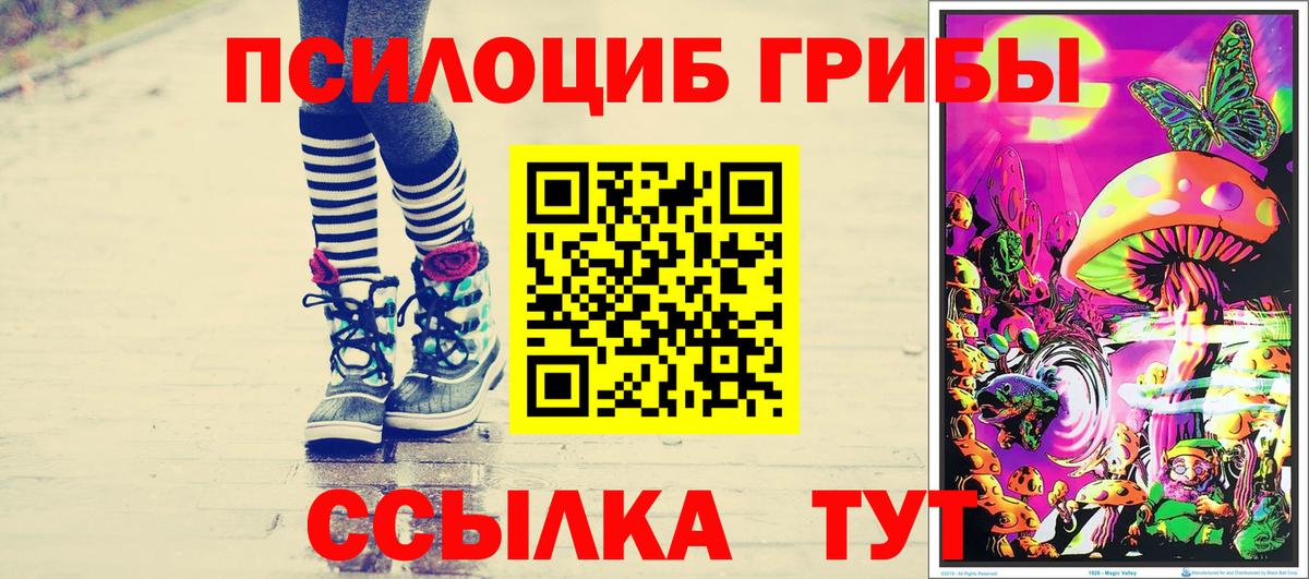Ртищево  Галлюциногенные грибы Psilocybe  Псилоцибиновые грибы мицелий  Вход с VPN 